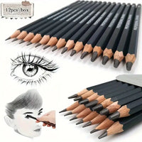 12-Piece Professional Precision Drawing Pencil Set- 2H-8B Hardness Range