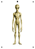 6 Layer Alien Stencil set template