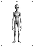 6 Layer Alien Stencil set template