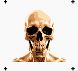 6 Layer Skeleton Bust Stencil set template