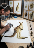 6 Layer Kangaroo art airbrush Stencil set template