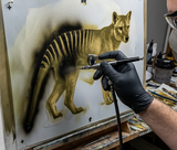 6 Layer Thylacine Tasmanian Tiger Stencil set