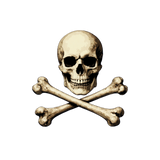 6 Layer Skull and Crossbones Stencil set template Ships worldwide Reusable many times durable mylar
