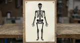 Skeleton airbrush stencil art Template Mylar ships worldwide.