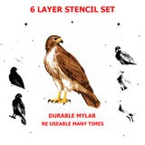 6 Layer Hawk art airbrush Stencil set template
