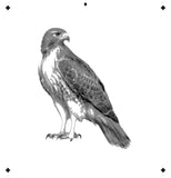 6 Layer Hawk art airbrush Stencil set template