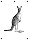 6 Layer Kangaroo art airbrush Stencil set template