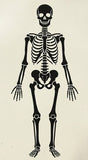 Skeleton airbrush stencil art Template Mylar ships worldwide.