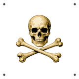 6 Layer Skull and Crossbones Stencil set template Ships worldwide Reusable many times durable mylar