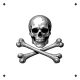 6 Layer Skull and Crossbones Stencil set template Ships worldwide Reusable many times durable mylar