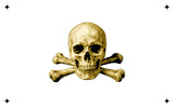 6 Layer Skull and Crossbones Stencil set template Ships worldwide Reusable many times durable mylar