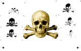6 Layer Skull and Crossbones Stencil set template Ships worldwide Reusable many times durable mylar