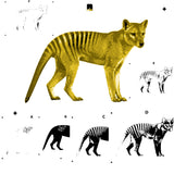 6 Layer Thylacine Tasmanian Tiger Stencil set