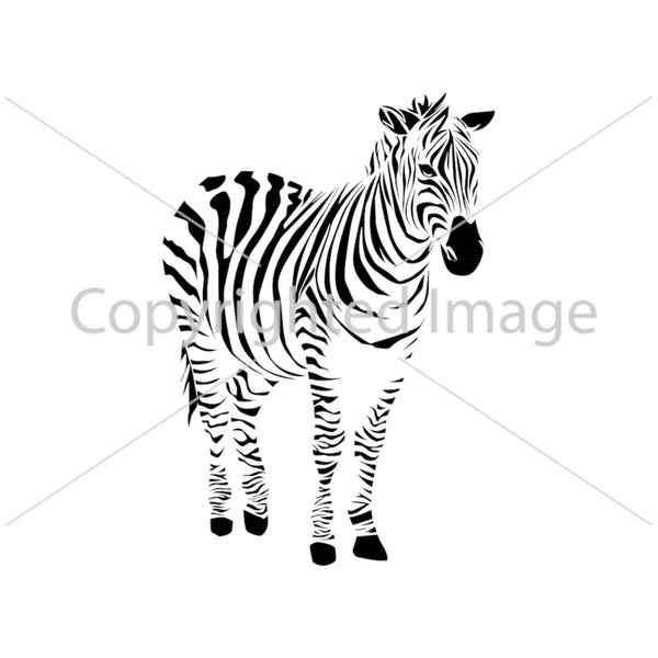 Zebra Airbrush art stencil available in 2 sizes Mylar ships worldwide