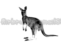 Three layer Kangaroo Airbrush art stencil set clear Mylar ships worldwide.